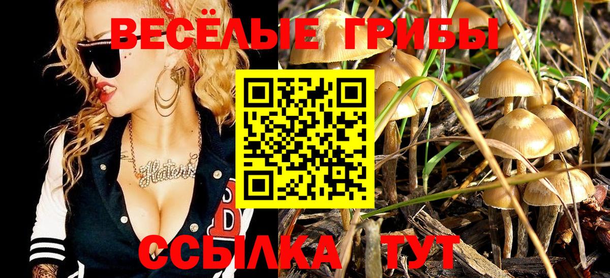 Псилоцибиновые грибы ЛСД Мелеуз
