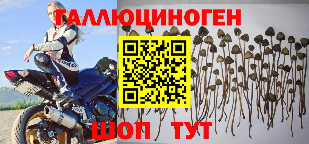 Галлюциногенные грибы MAGIC MUSHROOMS  Вход с VPN  Мелеуз 